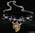 Ammonite Necklace with Amythyst #2799-1